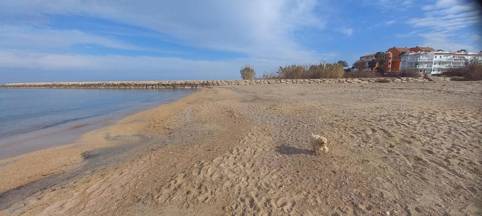 Beach View - Primera Linea Lujo เดเนีย ภายนอก รูปภาพ